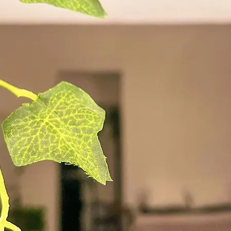 Apartment La Tua Casa Senza Pensieri